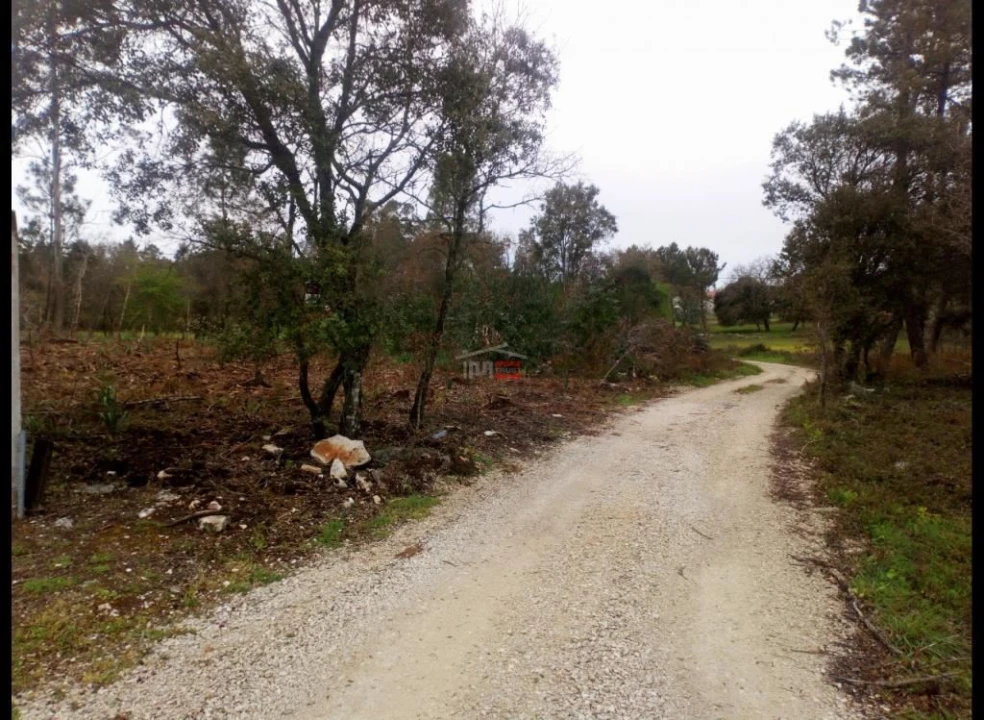 Terreno Misto para Venda em Fatima Foto 1