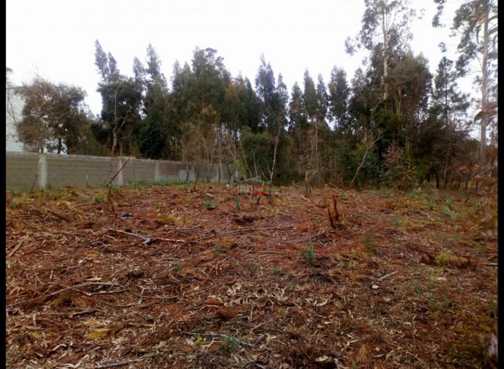 Terreno Misto para Venda em Fatima Foto 4
