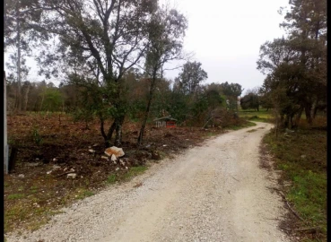 Terreno Misto para Venda em Fatima