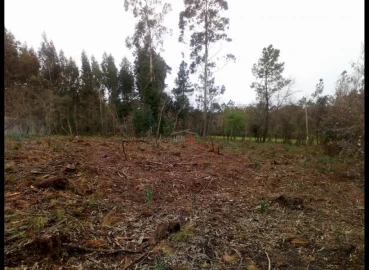 Terreno Misto para Venda em Fatima
