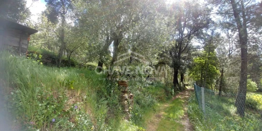 Terreno Agricola ou Rústico para Venda em Mansores