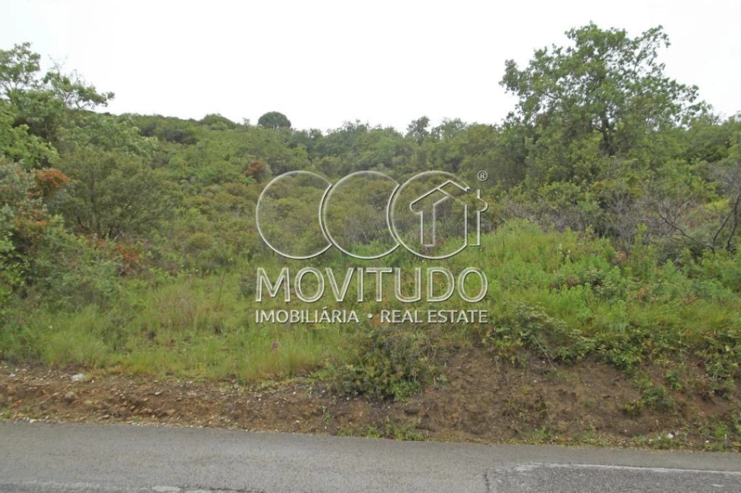 Terreno Agricola ou Rústico para Venda em Santiago dos Velhos Foto 8