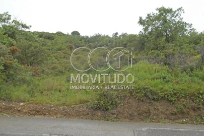 Terreno Agricola ou Rústico para Venda em Santiago dos Velhos