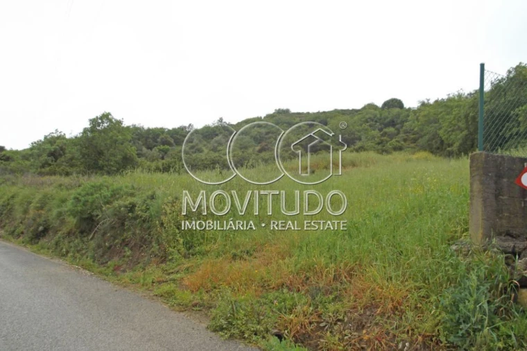 Terreno Agricola ou Rústico para Venda em Santiago dos Velhos Foto 7