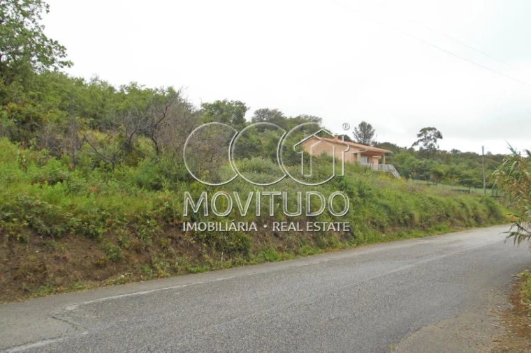 Terreno Agricola ou Rústico para Venda em Santiago dos Velhos Foto 10