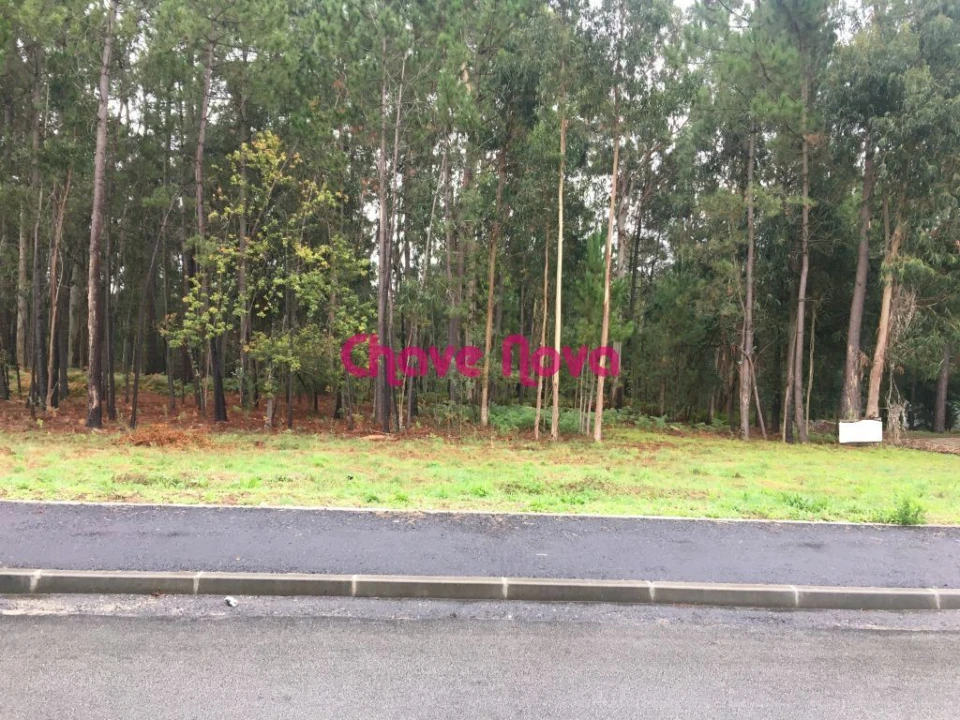 Terreno para Venda em Santa Maria da Feira, Travanca, Sanfins e Espargo Foto 1