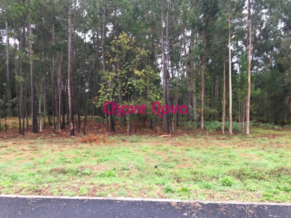 Terreno para Venda em Santa Maria da Feira, Travanca, Sanfins e Espargo Foto 2