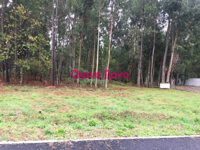Terreno para Venda em Santa Maria da Feira, Travanca, Sanfins e Espargo Foto 3