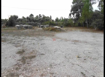 Terreno Misto para Venda em Fatima