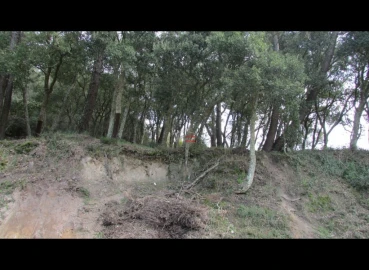 Terreno Misto para Venda em Nossa Senhora da Piedade