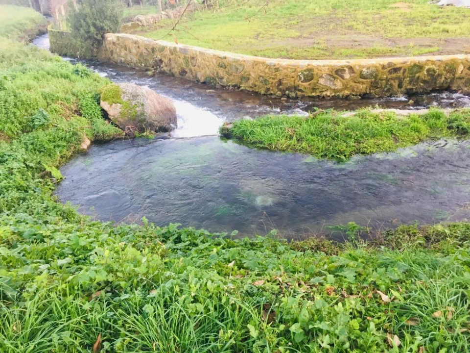 Terreno Agricola ou Rústico para Venda em Perelhal Foto 2