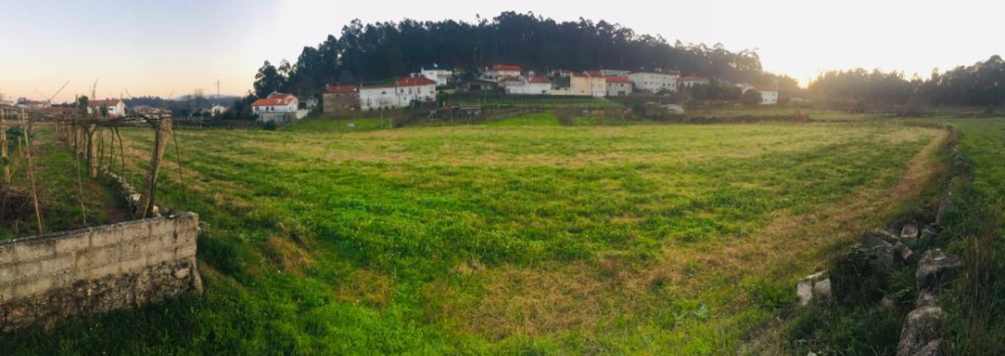 Terreno Agricola ou Rústico para Venda em Perelhal Foto 3