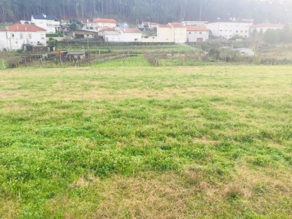 Terreno Agricola ou Rústico para Venda em Perelhal Foto 6