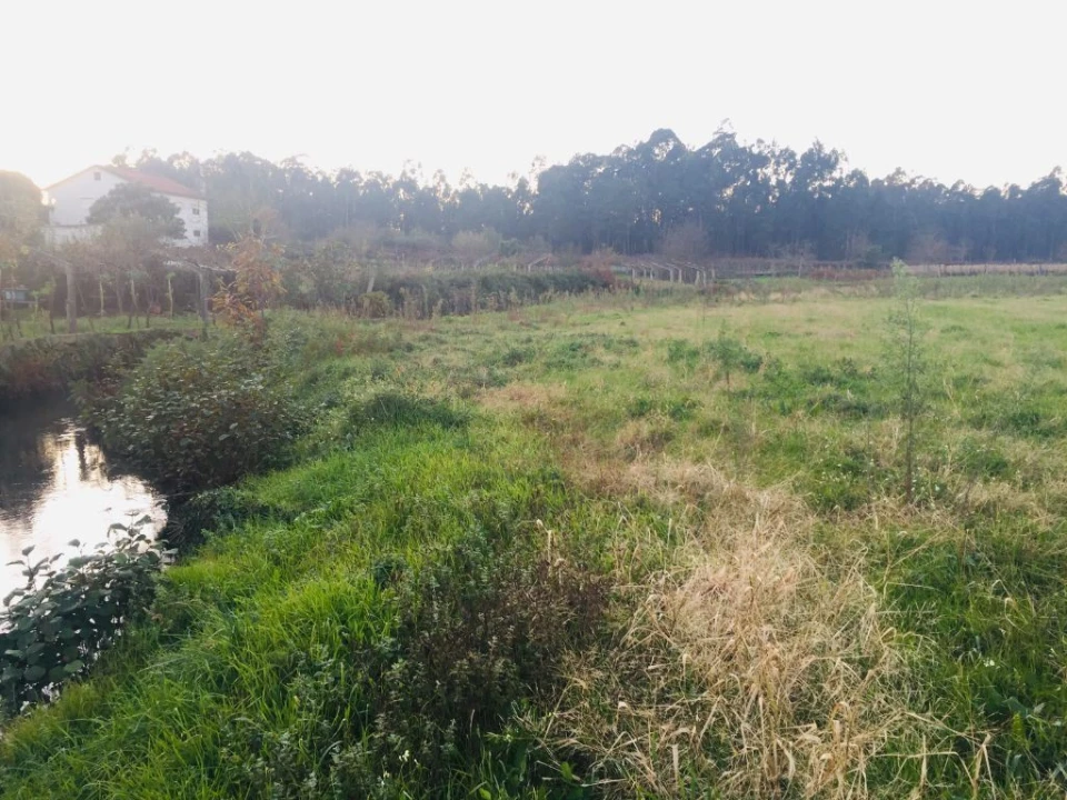 Terreno Agricola ou Rústico para Venda em Perelhal Foto 9