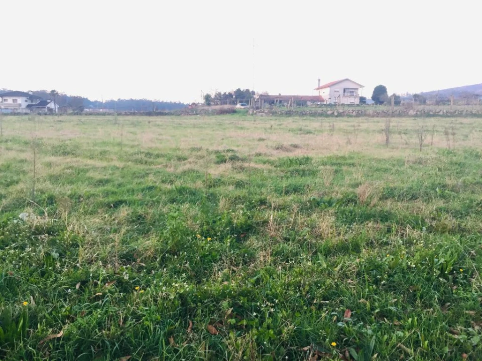 Terreno Agricola ou Rústico para Venda em Perelhal Foto 13