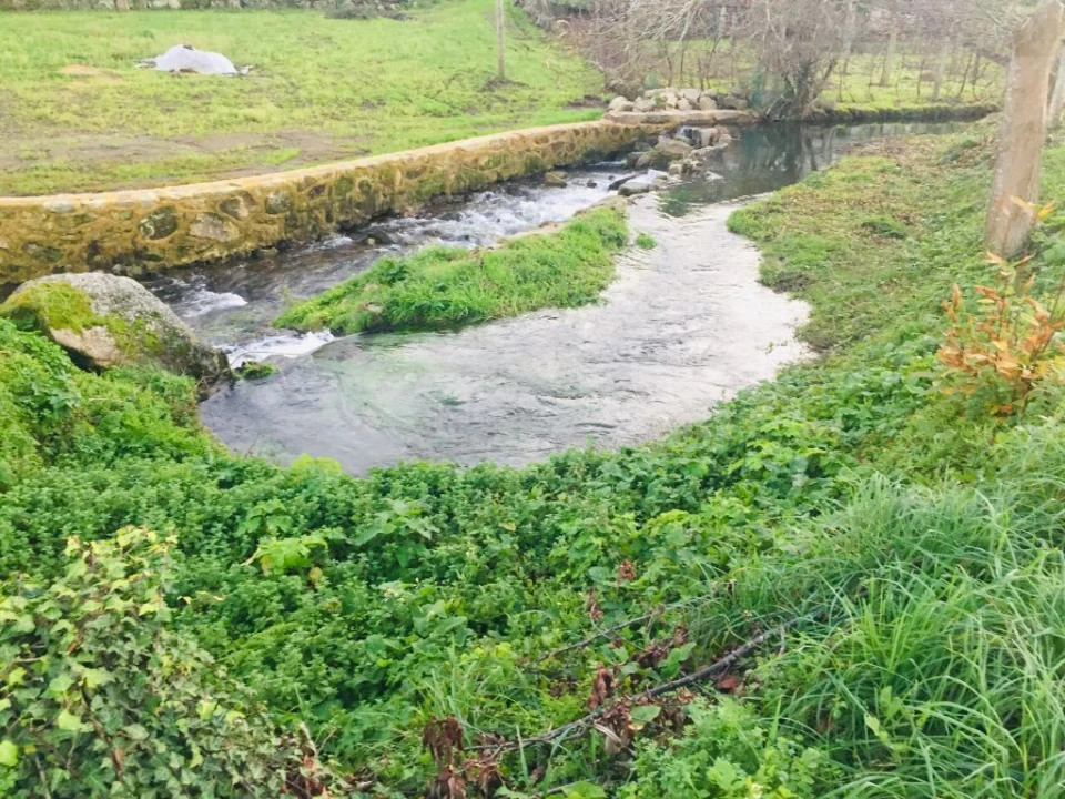 Terreno Agricola ou Rústico para Venda em Perelhal Foto 15