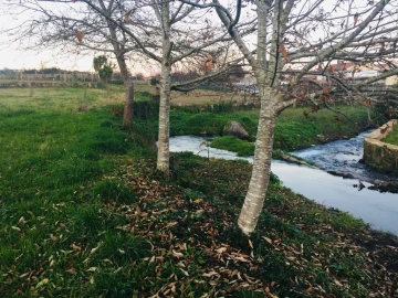Terreno Agricola ou Rústico para Venda em Perelhal