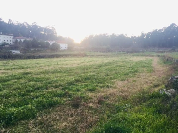 Terreno Agricola ou Rústico para Venda em Perelhal