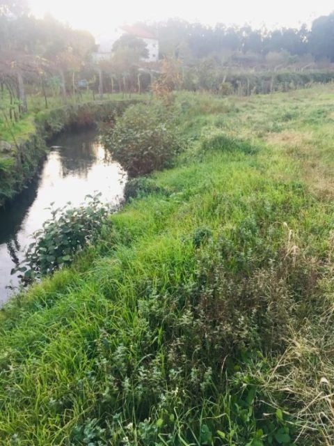 Terreno Agricola ou Rústico para Venda em Perelhal
