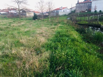 Terreno Agricola ou Rústico para Venda em Perelhal