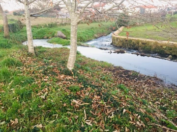 Terreno Agricola ou Rústico para Venda em Perelhal