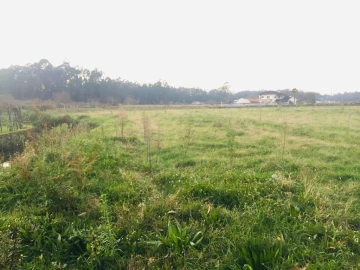Terreno Agricola ou Rústico para Venda em Perelhal