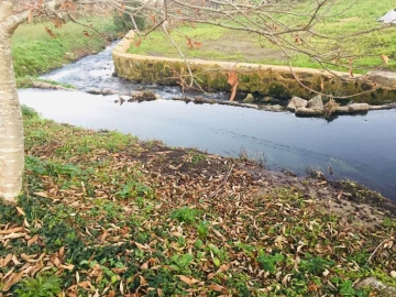 Terreno Agricola ou Rústico para Venda em Perelhal