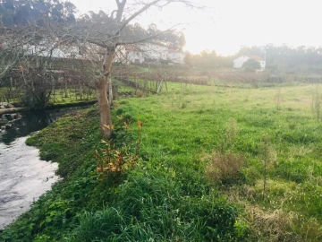 Terreno Agricola ou Rústico para Venda em Perelhal