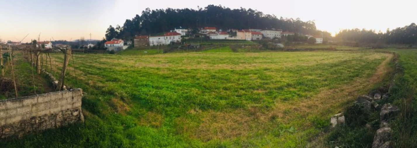 Terreno Agricola ou Rústico para Venda em Perelhal Foto 3