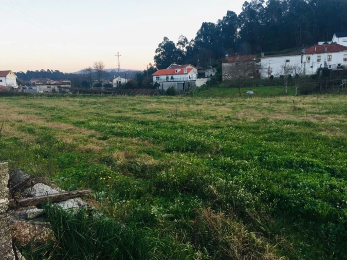 Terreno Agricola ou Rústico para Venda em Perelhal Foto 5