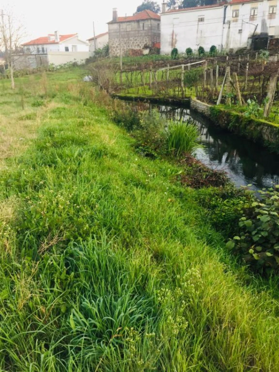 Terreno Agricola ou Rústico para Venda em Perelhal Foto 7