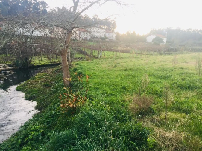 Terreno Agricola ou Rústico para Venda em Perelhal Foto 16