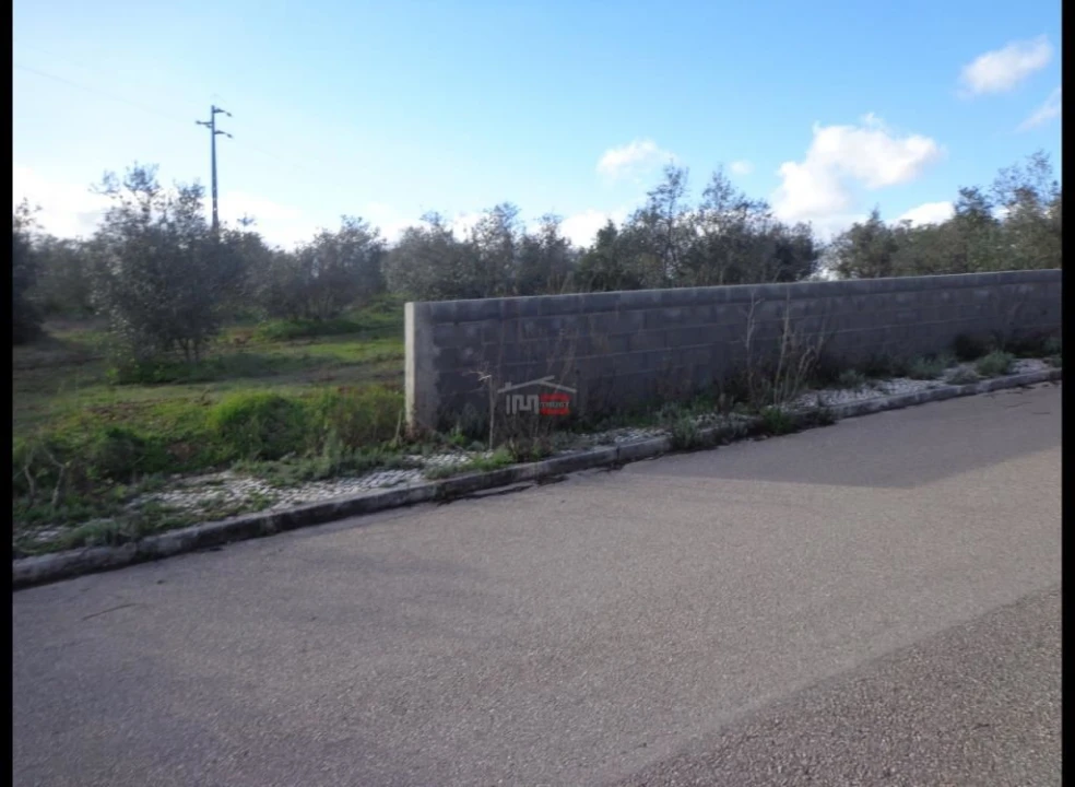 Terreno Misto para Venda em Vila Nova da Barquinha Foto 1