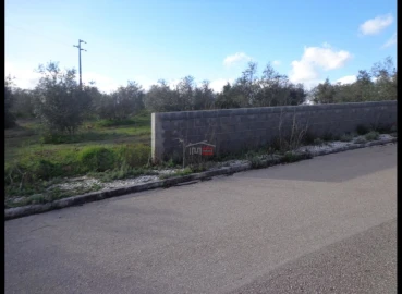 Terreno Misto para Venda em Vila Nova da Barquinha