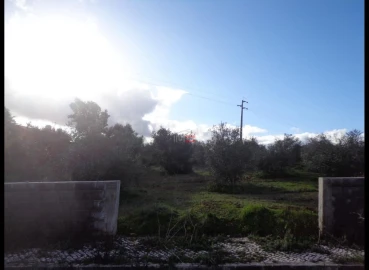 Terreno Misto para Venda em Vila Nova da Barquinha