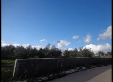 Terreno Misto para Venda em Vila Nova da Barquinha