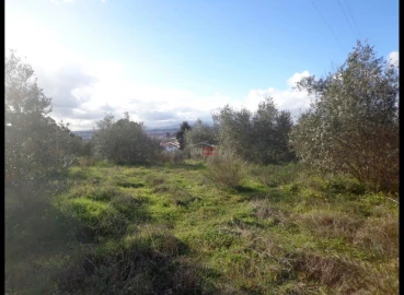 Terreno Misto para Venda em Vila Nova da Barquinha