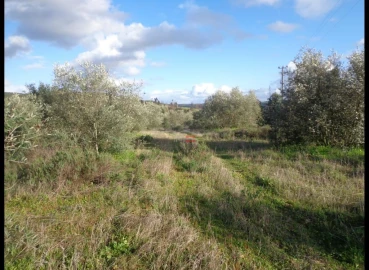 Terreno Misto para Venda em Vila Nova da Barquinha