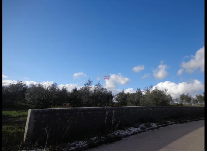 Terreno Misto para Venda em Vila Nova da Barquinha Foto 3
