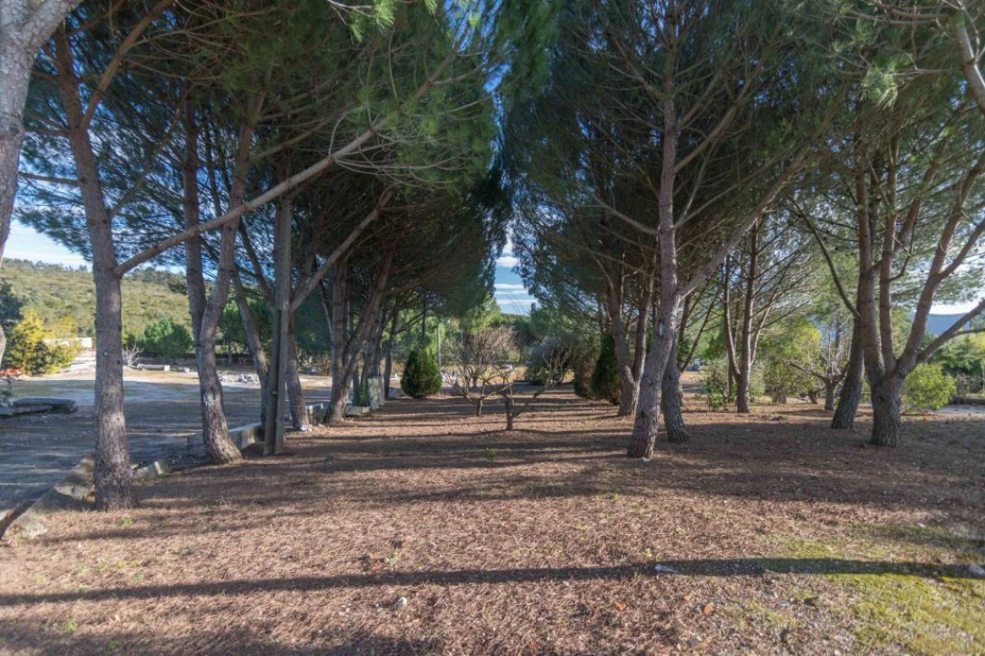 Terreno Misto para Venda em Mira de Aire Foto 4