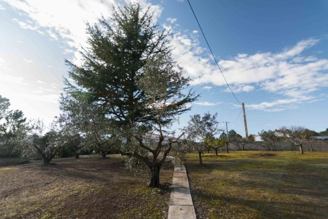 Terreno Misto para Venda em Mira de Aire Foto 26