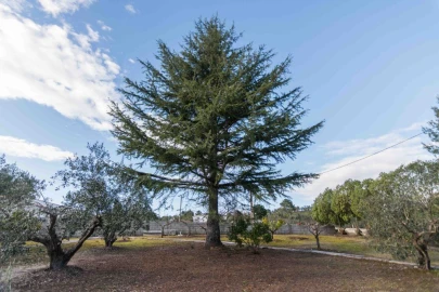 Terreno Misto para Venda em Mira de Aire