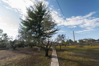 Terreno Misto para Venda em Mira de Aire