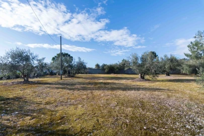 Terreno Misto para Venda em Mira de Aire