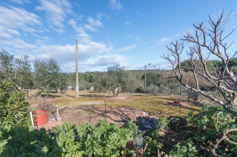 Terreno Misto para Venda em Mira de Aire Foto 8