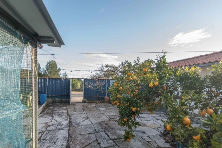 Terreno Misto para Venda em Mira de Aire Foto 22