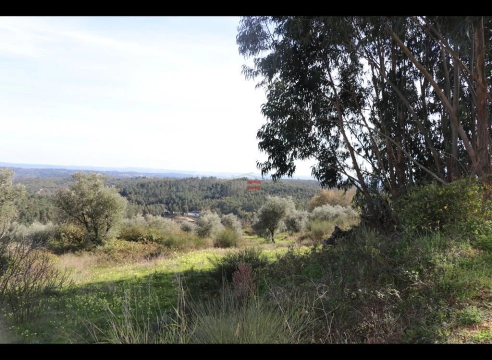 Terreno Misto para Venda em Alburitel Foto 3