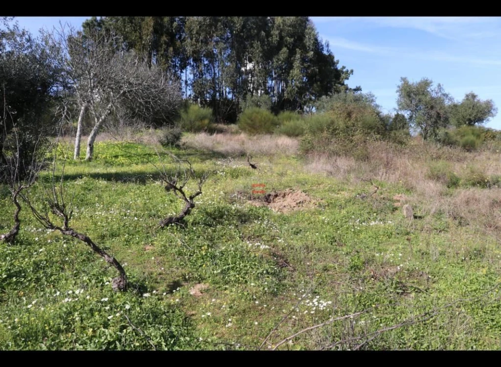 Terreno Misto para Venda em Alburitel Foto 10