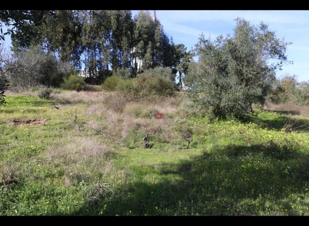Terreno Misto para Venda em Alburitel Foto 11