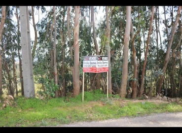 Terreno Misto para Venda em Alburitel